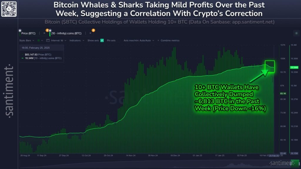 Bitcoin lucha por encontrar estabilidad tras ventas de ballenas por $540 millones